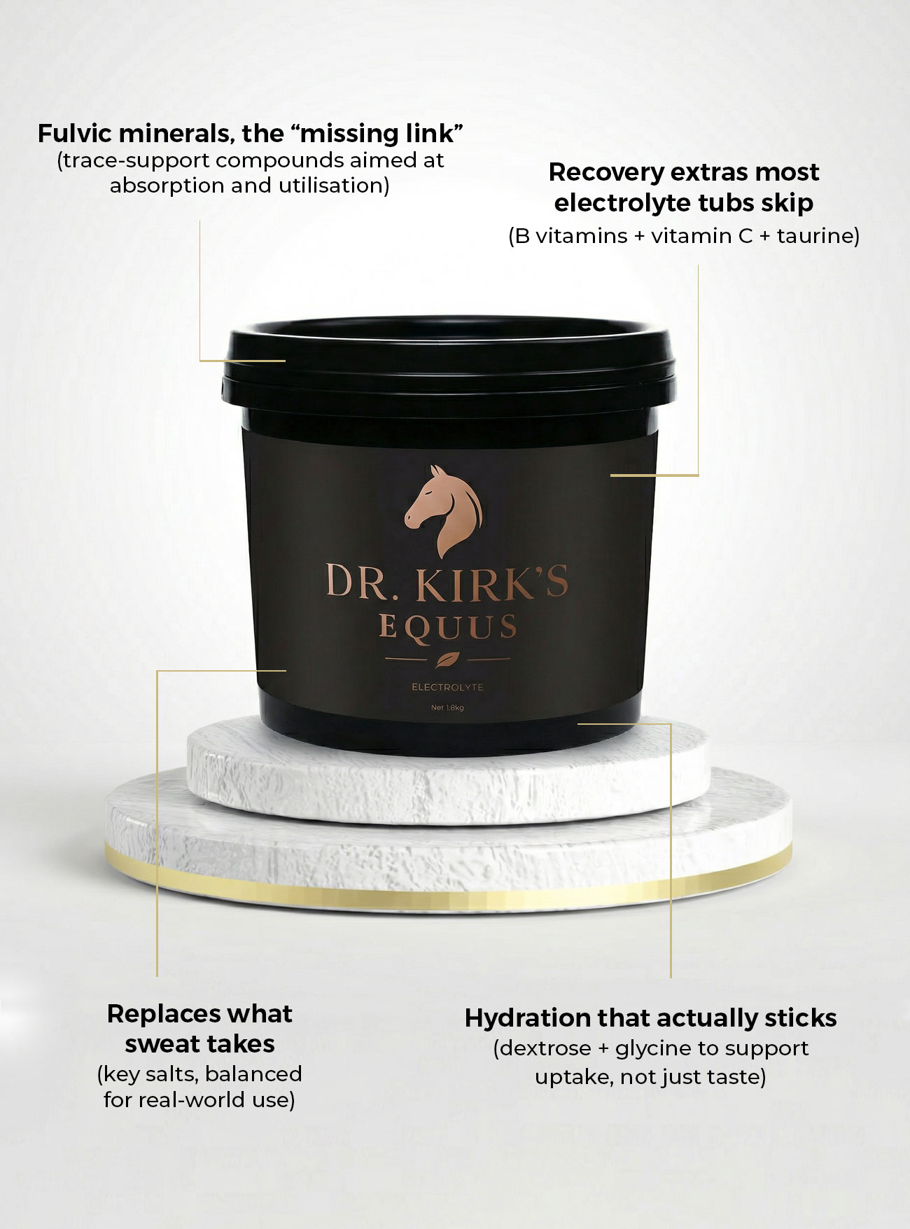 Dr Kirks electrolyte horse supplements
