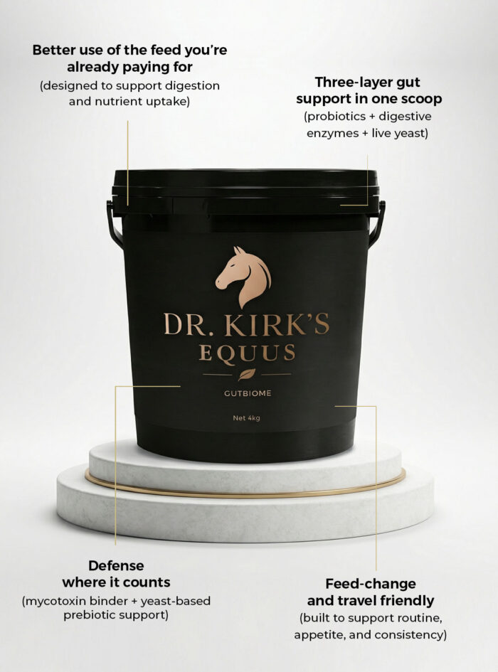 Dr Kirks gut biome horse supplements