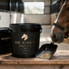 Dr Kirks gut biome horse supplements