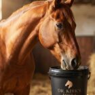 Dr Kirks horse supplements